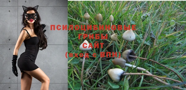 бутират Алзамай
