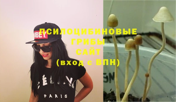 бутират Алзамай