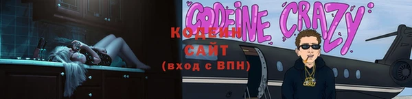 шишки Приозерск