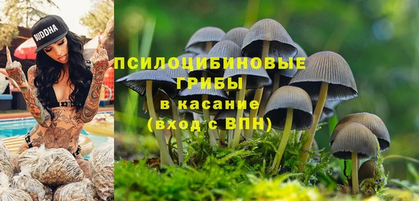 бутират Алзамай