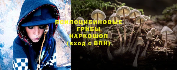 бутират Алзамай