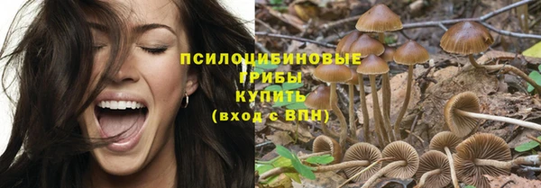 бутират Алзамай