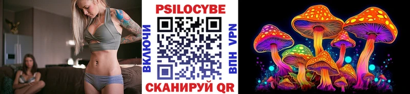 ОМГ ОМГ Болхов Псилоцибиновые грибы Psilocybe