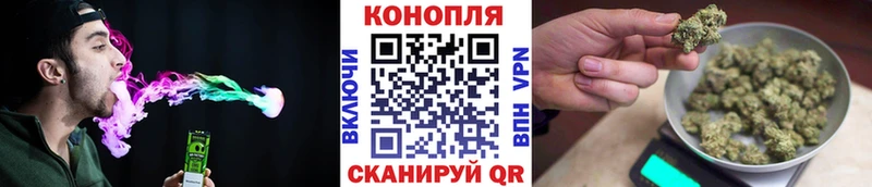 купить наркотик  Болхов  Бошки марихуана марихуана 